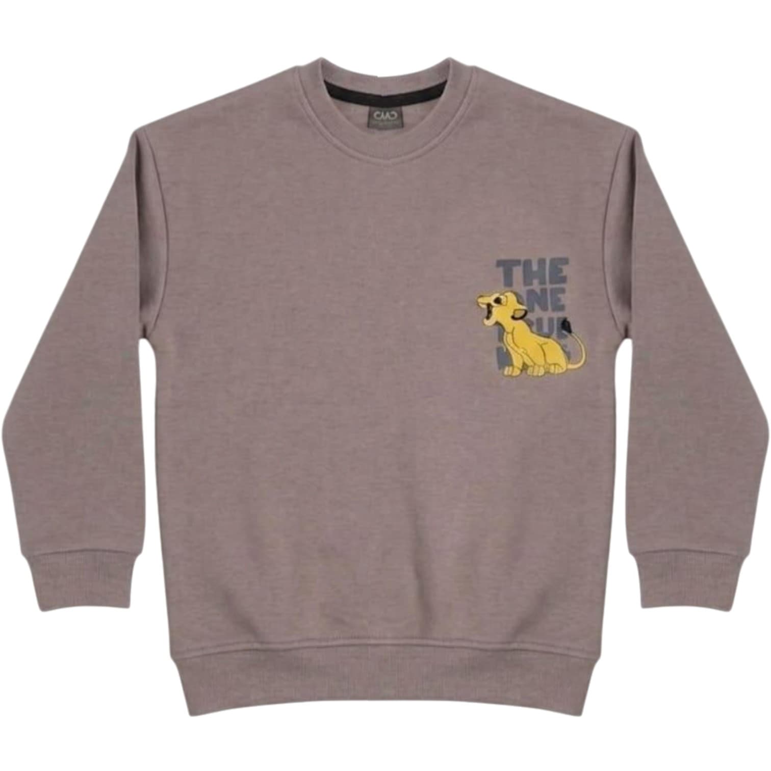 İçi Şardonlu Aslan Figür Baskılı Erkek Çocuk Sweatshirt Toptan Satışı
